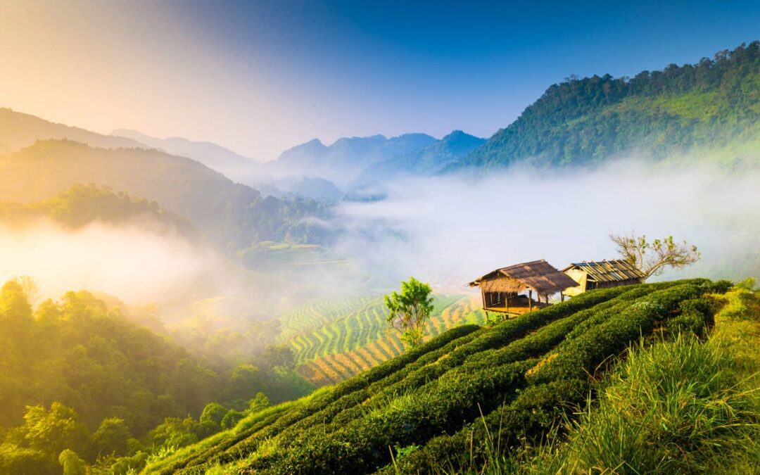 Qué ver en el norte de Tailandia