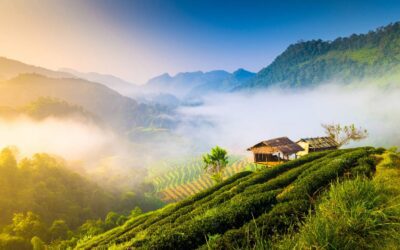 Qué ver en el norte de Tailandia
